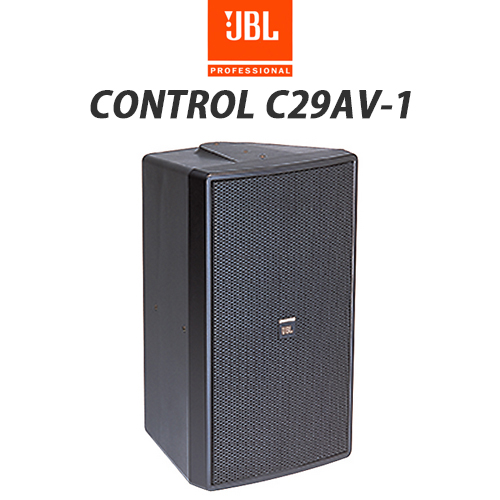 CONTROL-C29AV-1.jpg